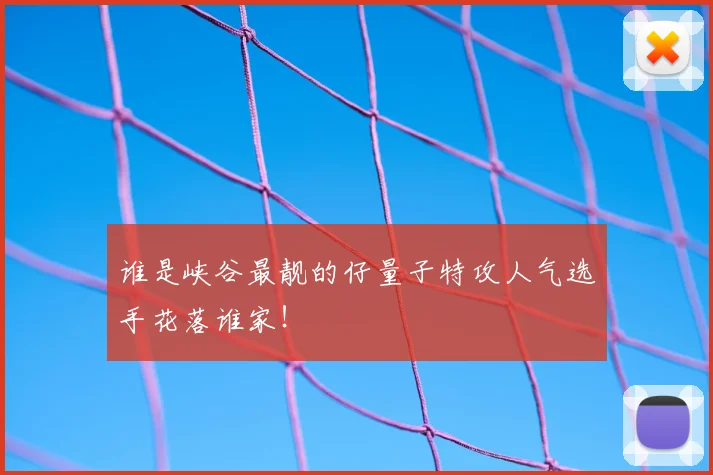 谁是峡谷最靓的仔量子特攻人气选手花落谁家！