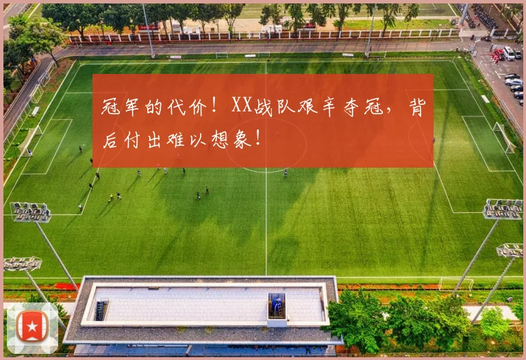 冠军的代价！XX战队艰辛夺冠，背后付出难以想象！