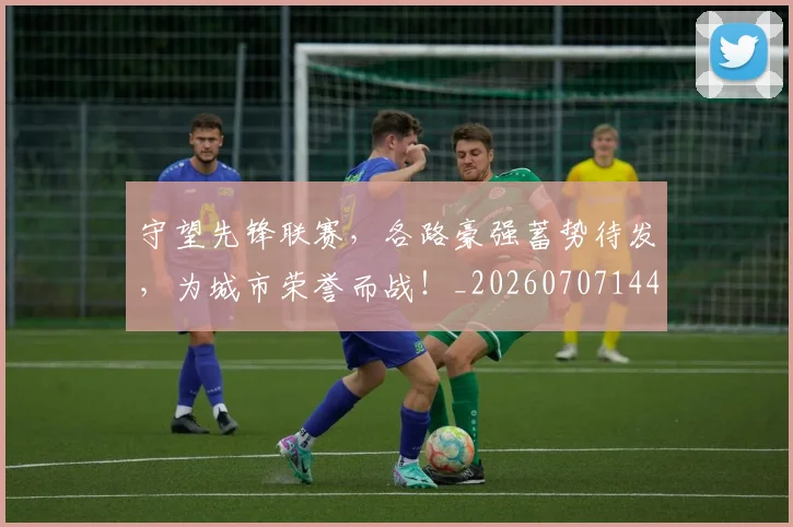 守望先锋联赛,各路豪强蓄势待发,为城市荣誉而战!_20260707144045