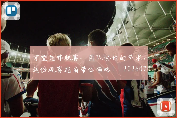 守望先锋联赛,团队协作的艺术,这份观赛指南带你领略!_20260707144047